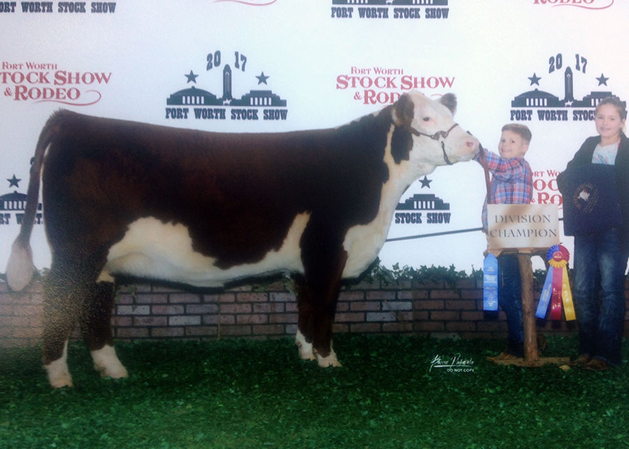 17-polled-hereford-div-champ-fwssr-rendon-campbell