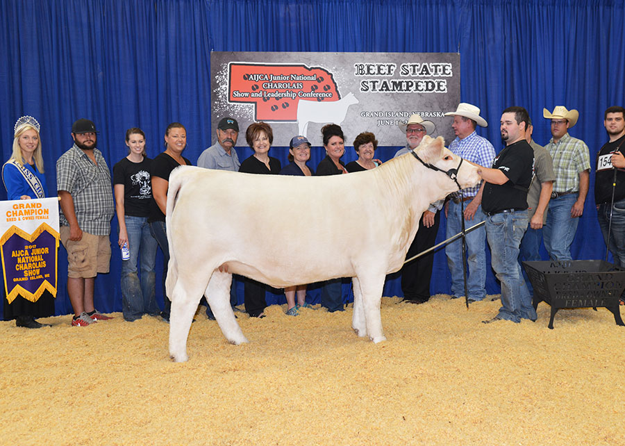 2017 Charolais Junior National Grand Champion Bred and Owned Female