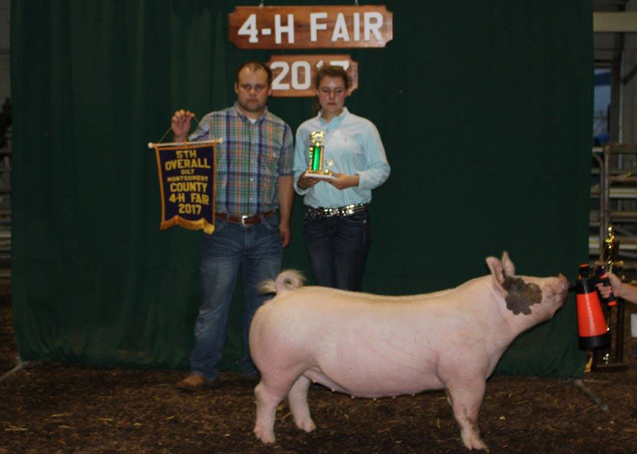 5th Overall Gilt2017 Montgomery County 4-H FairShown by Layla Bennett