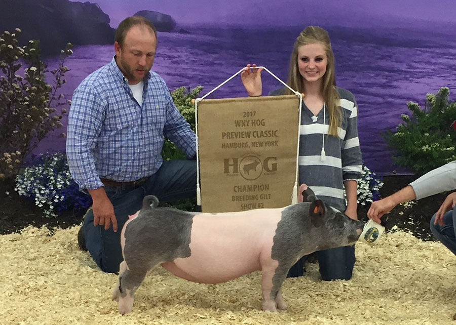 17-Grand-Champion-Overall-Breeding-Gilt-WNY-Hog-Lamb-Preview-Classic-Abby-Hemphill