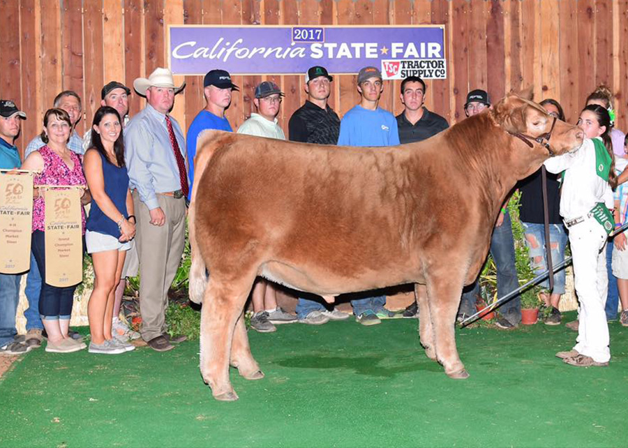 Grand Champion Steer2017 California State FairShown by Carly Wheeler
