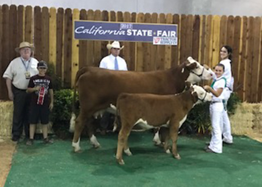Hereford Res Champion Cow-Calf2017 California State FairShown by Kaitlin Dores