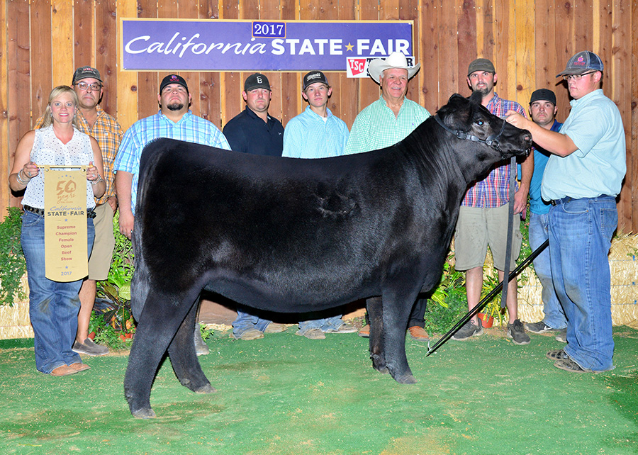 Supreme Champion Open Show2017 California State FairShown by Aaron Kerlee