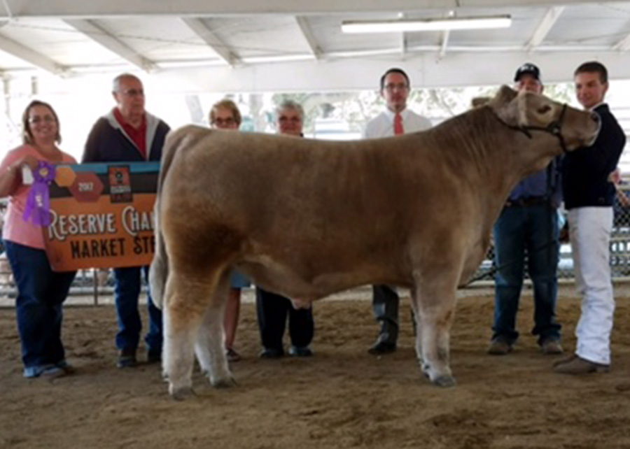 17-Res-Grand-Champ-Steer-San-Benito-Fair-Clay-Hubbell