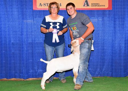 4-H Res Champion Div I Mkt Goat2017 Nebraska State FairShown by Sheldon Johnsen