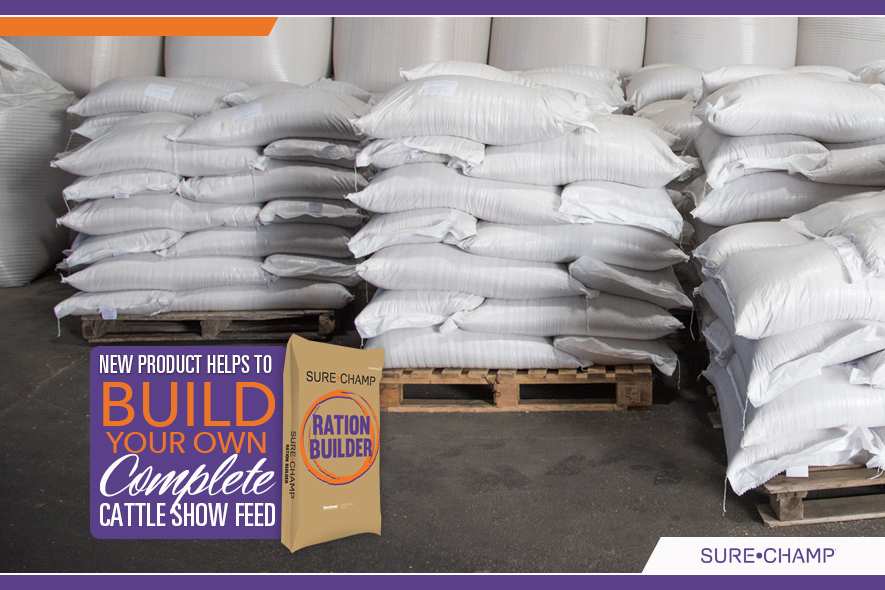New Product Helps to Build Your Own Complete Cattle Show Feed Sure Champ