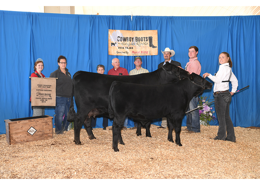 18 Eastern Regional Junior Angus Show, Grand Champion Cow-Calf Pair, Shown by Allison Davis Champ