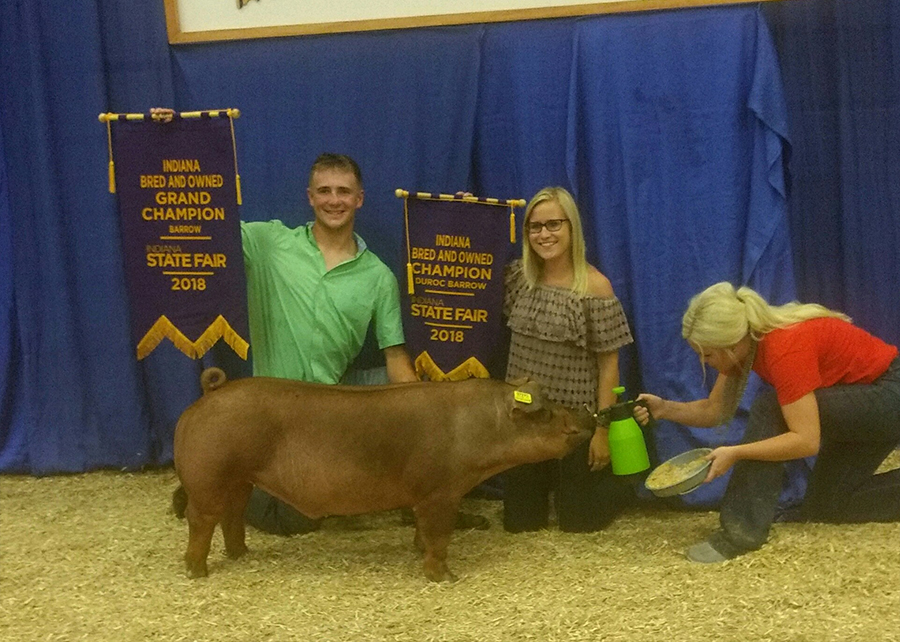 18 Indiana State Fair, Overall Grand Champion Indiana Bred & Owned Barrow, Indiana Bred & Owned Champion Duroc Barrow, shown by Peyton Winninger Champ