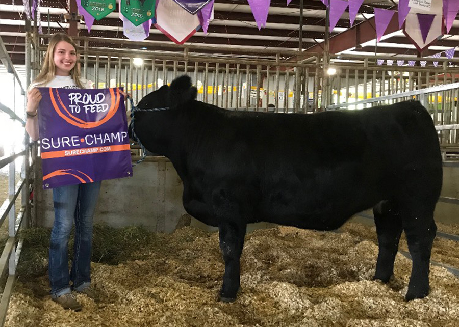 18 Jackson County Fair, Grand Champion Beef Steer, Shown by Sadie Finegan