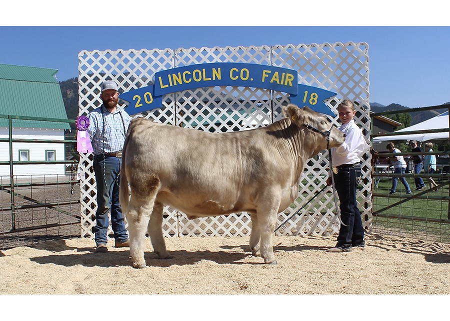 18 Lincoln Co Fair, Grand Champion, Shown by Cashlee Hepworth Champ