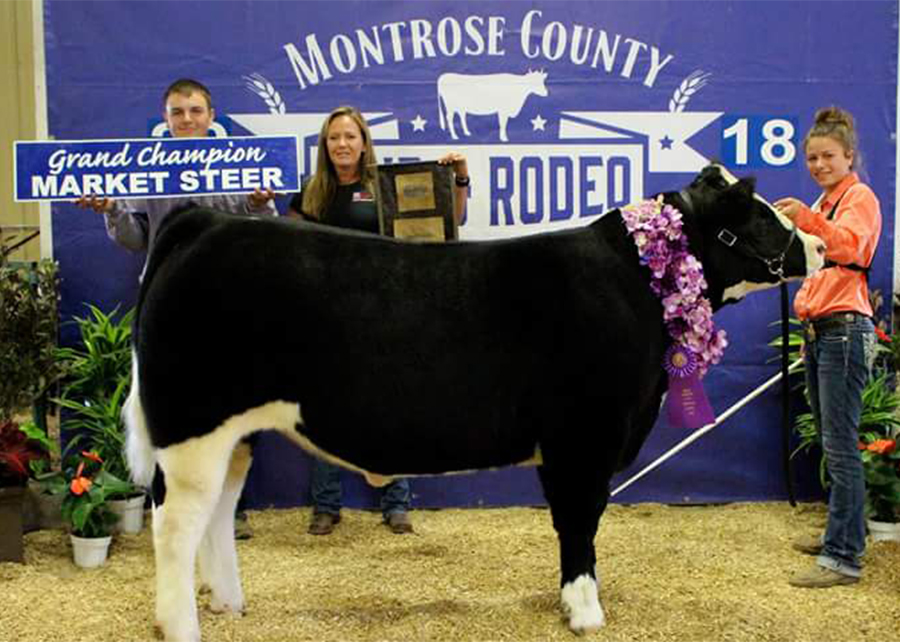 18 Montrose County Fair, Grand Champion, Gabby O’Donnell Champ