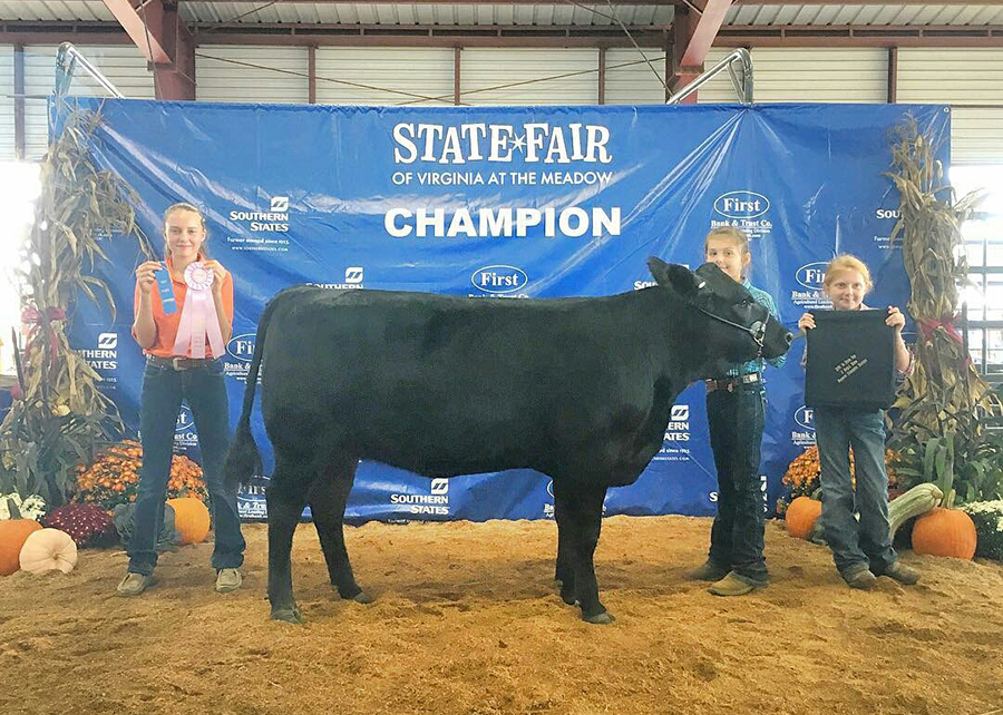 18 Virginia State Fair, Grand Champion, Shown by Taylor Kennedy Champ
