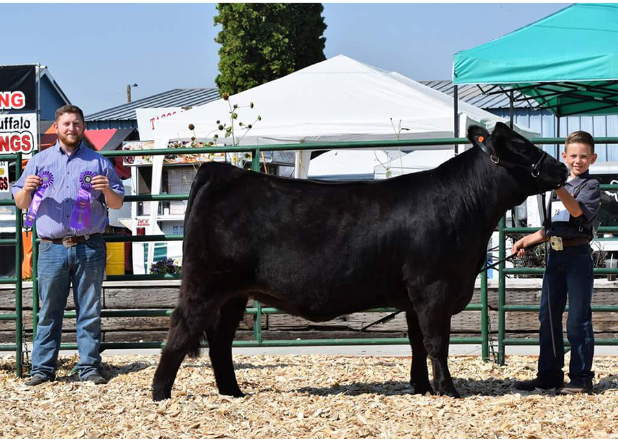 18 Lake County Fair, Grand Champion, Shown by Tate Haskins Champ