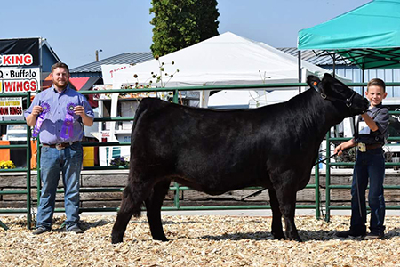 18 Lake County Fair, Grand Champion, Shown by Tate Haskins Test