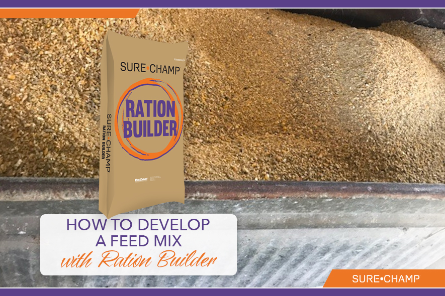 How to Develop a Feed Mix with Ration Builder Sure Champ