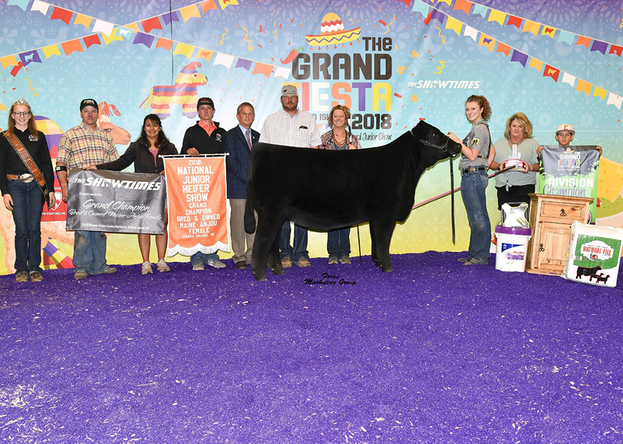18 Maine-Anjou Junior National, Grand Champion Bred & Owned Maine-Anjou Female, Shown by Taylor Dorsey