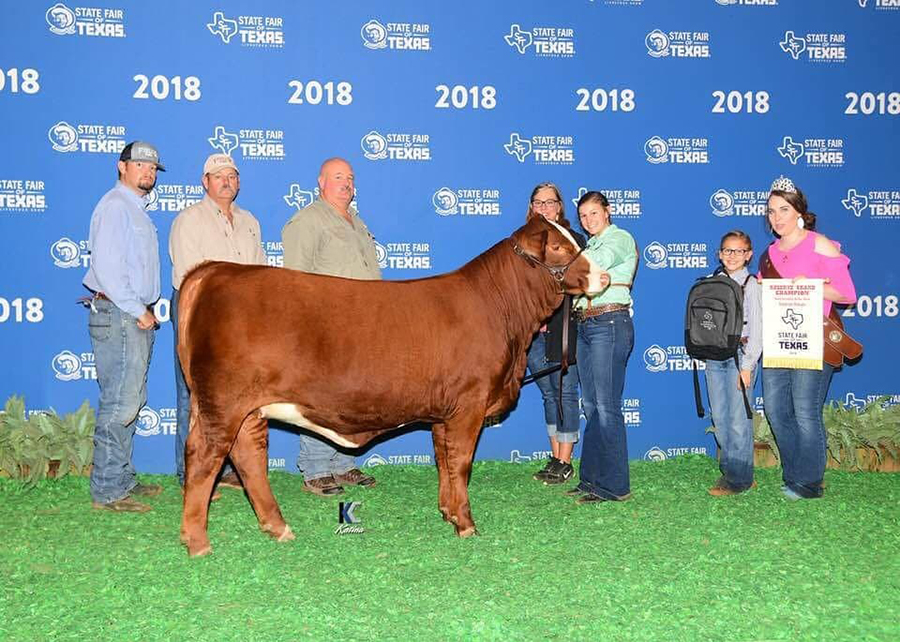 18 State Fair of Texas, Reserve Grand Champion Simbrah, Shown by MacKenzie Groce Champ