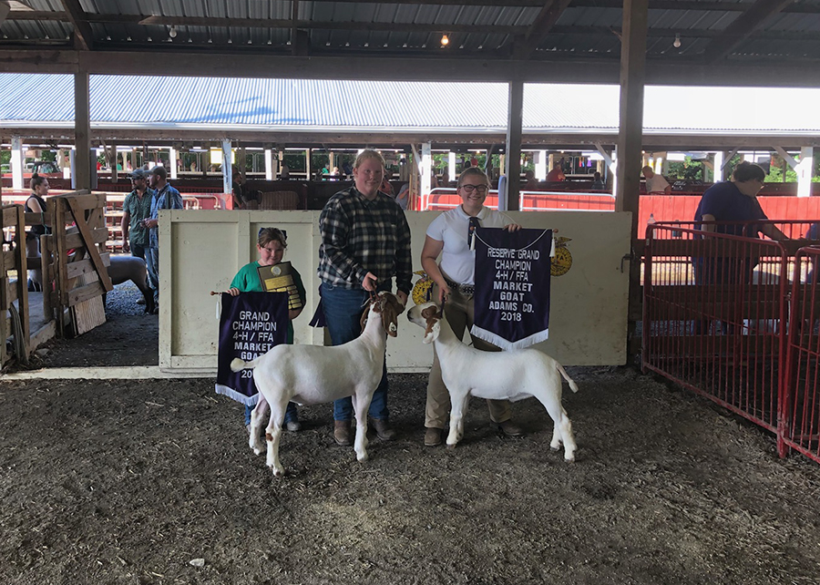 Grand Champion and Reserve Grand Champion Market Goat, 2018 South Mountain Fair, Shown by Kaitlin Williams