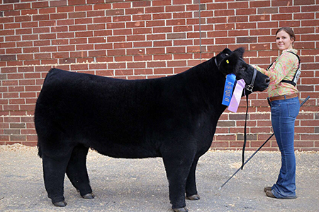 18 Keystone International Livestock Exposition, Reserve Middle Weight market steer, Shown by Alli Jobe Test