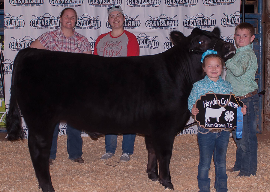 18 Cleveland Livestock Show and Dairy Day, 3rd overall, Shown by Hayden Coleman Champ