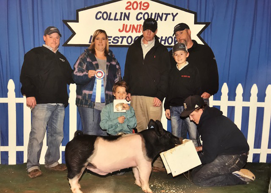 19 Collin County Livestock Show, Champion Cross Market Swine, Shown by Zane Thompson Champ