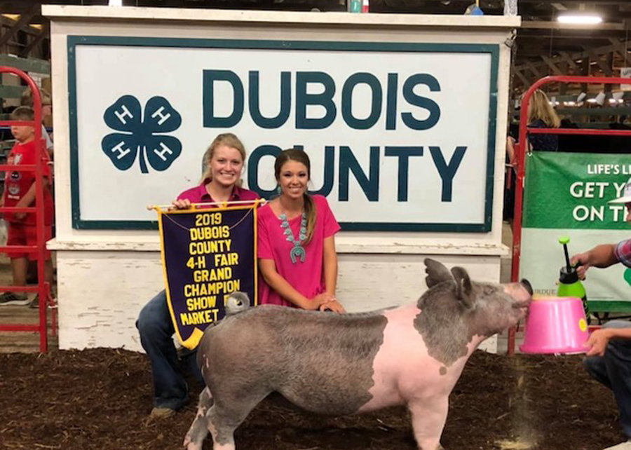 2019 Dubois County Fair, Grand Champion, Shown by Kylie Giesler