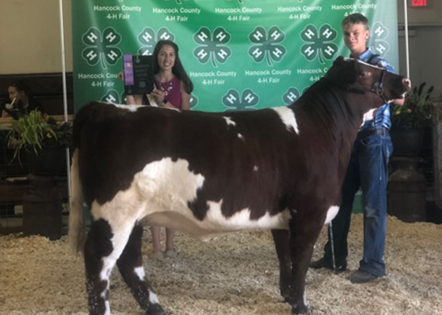2019 Hancock County Fair, Champion Market Heifer, Shown by Caden Nation