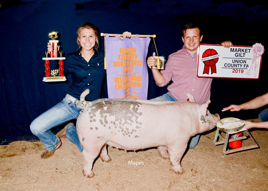 2019 Union County Ohio, Reserve Grand Champion Market Gilt, Shown by Ethan Wendt