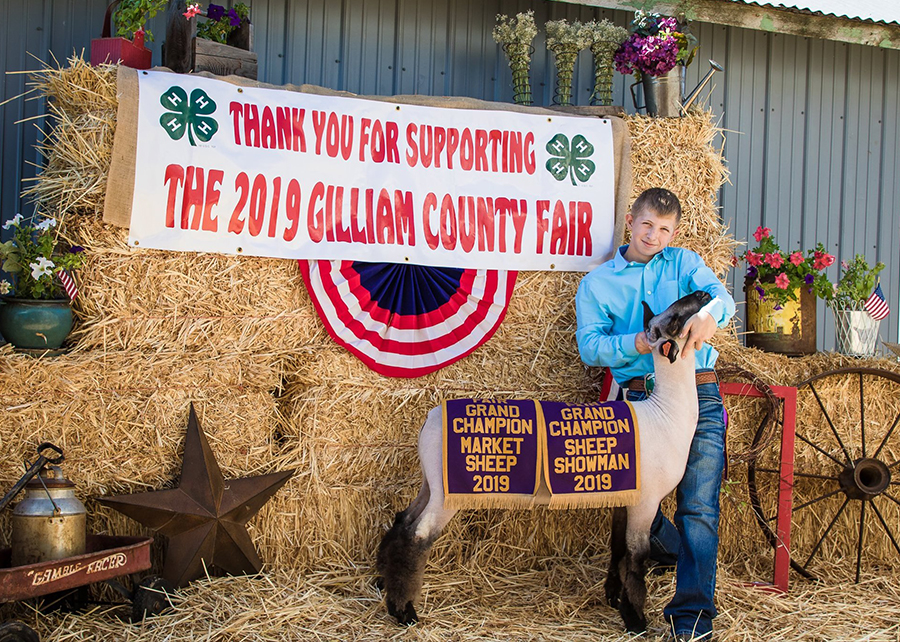 2019 Gilliam County Fair, Grand Champion Lamb, Shown by Wyatt Wilson-champ