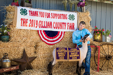 2019 Gilliam County Fair, Grand Champion Lamb, Shown by Wyatt Wilson-test