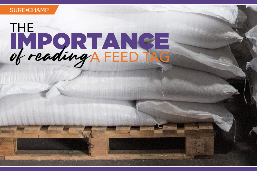The Importance of Reading a Feed Tag Sure Champ