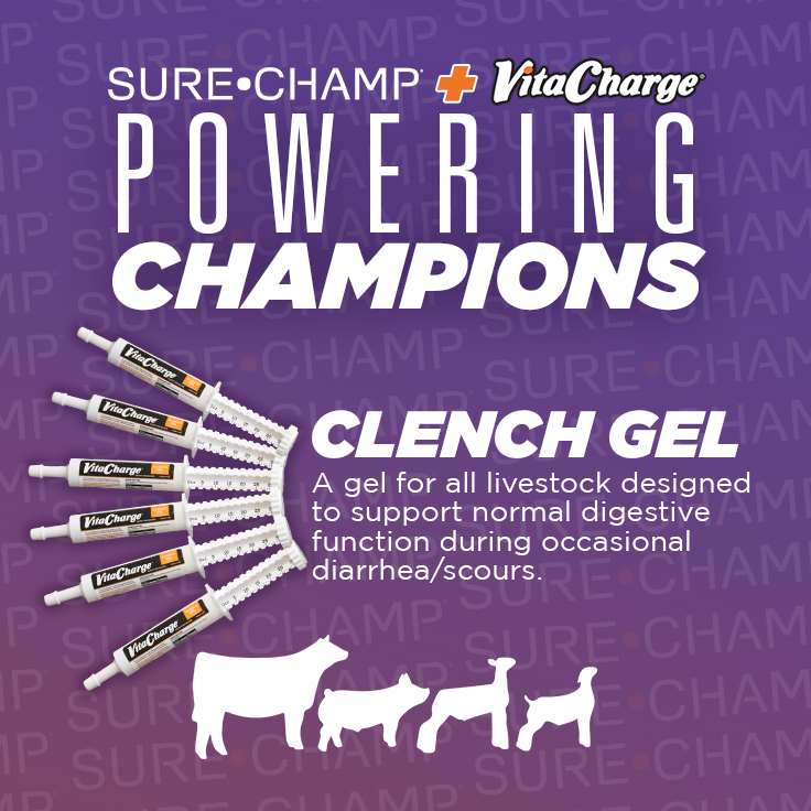 Clinch Gel