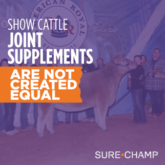 show cattle joint supplements