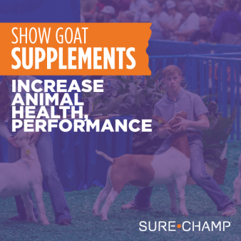 show goat supplements