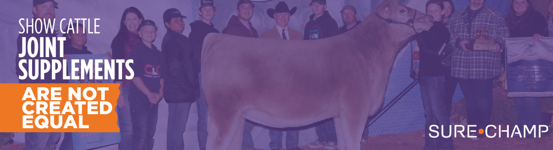 show cattle joint supplements