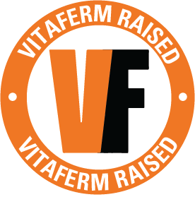 VF_Raised_Icon