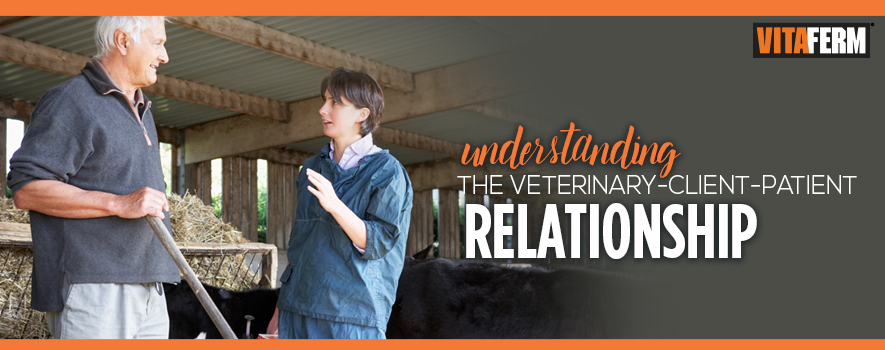 Understanding the Veterinary-Client-Patient Relationship