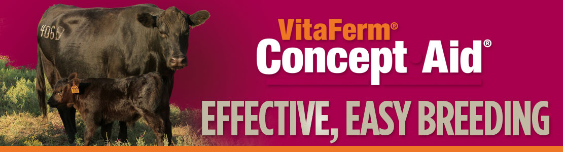 VitaFerm Concept-Aid