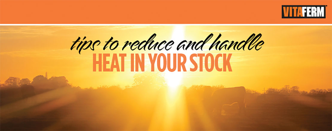 Tips to Reduce and Handle Heat in Your Stock