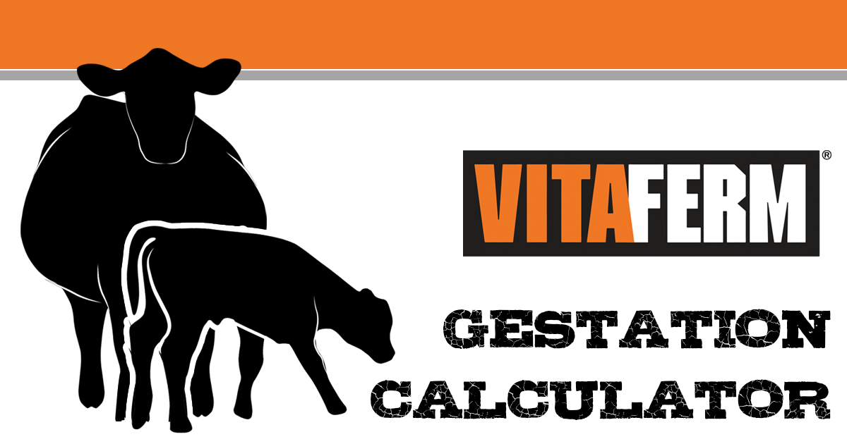 VitaFerm Concept Aid Gestation Calculator VitaFerm VitaFerm Concept Aid Gestation Calculator VitaFerm