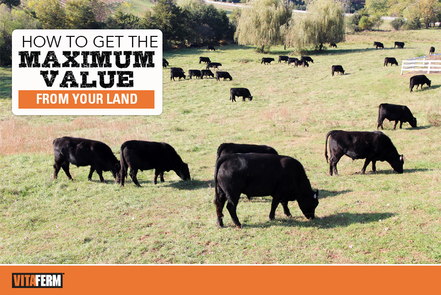 How to get the Maximum Value from Your Land VitaFerm