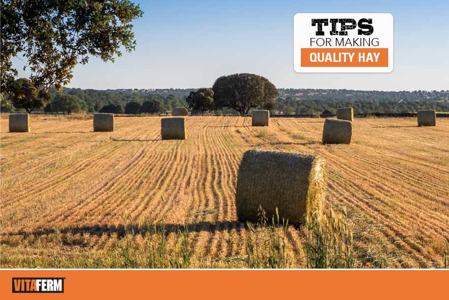 Tips for Making Quality Hay - VitaFerm