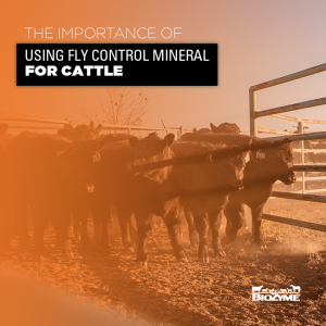 fly control mineral for cattle
