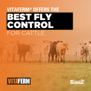 best fly control for cattle