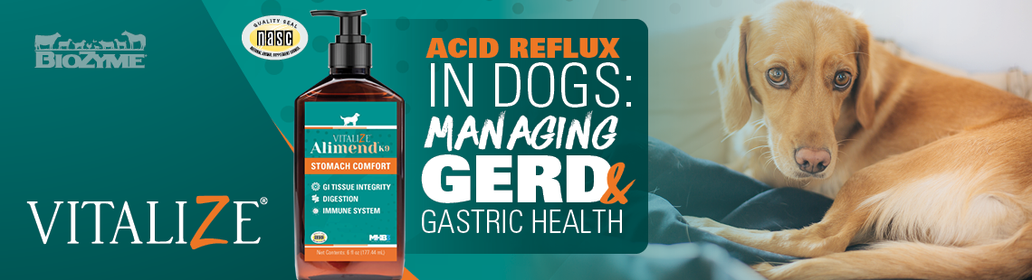 acid reflux in Dogs