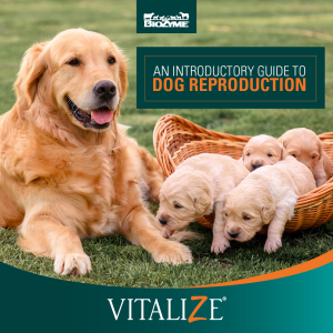 dog reproduction