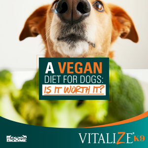 vegan diet for dogs