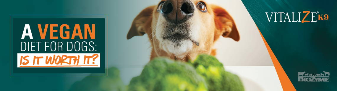 vegan diet for dogs