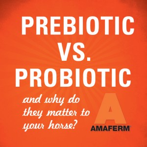 Prebiotic vs. Probiotic in horses