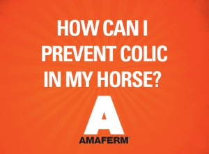 Reduce Colic in Horses